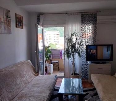 Velji Vinogradi Apartamento | Apartman Budva