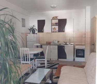 Velji Vinogradi Apartamento | Apartman Budva