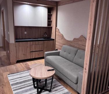 Jahorina Apartamento | Apartman C234 Aparthotel Vučko Jahorina privatni apartman