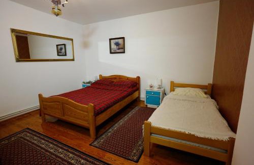 Zajecar Apartamento | Apartman Carpe Diem