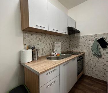 Lic Apartamento | Apartman Crljenko