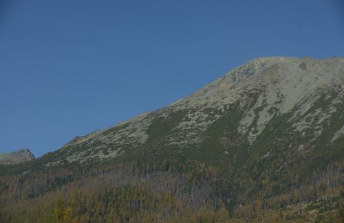 Vysoke Tatry Apartamento | Apartman D304