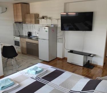 Zvezdara Apartamento | Apartman Dami