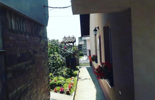 Vrdnik Apartamento | Apartman Darija