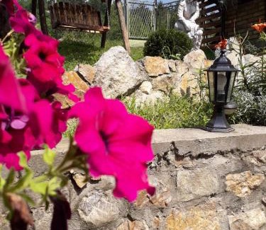 Vrdnik Apartamento | Apartman Darija