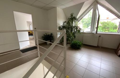 Rajec-Jestrebi Apartamento | Apartman Discoveryou