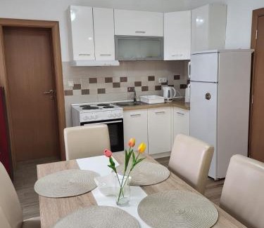 Golubac Apartamento | Apartman Djuric