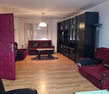 Bela Crkva Apartamento | Apartman dragana