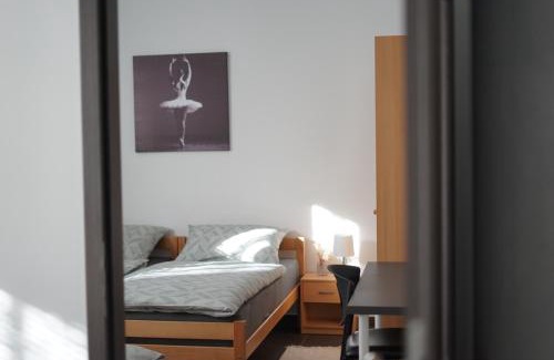 Pozega Apartamento | Apartman ERIK
