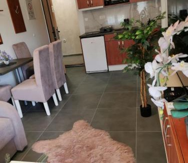 Veliko Gradiste Apartamento | Apartman Goga 2