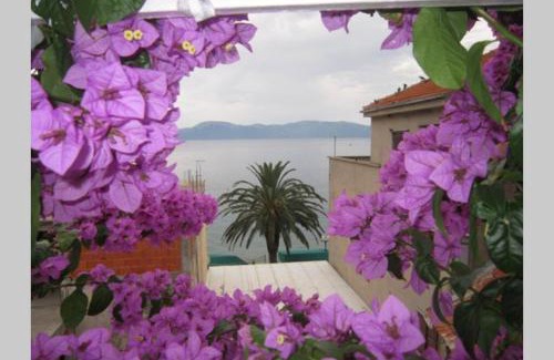 Gradac Apartamento | Apartman Graciela Perfect location Gradac
