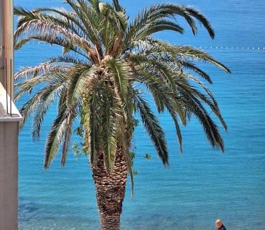 Gradac Apartamento | Apartman Graciela Perfect location Gradac