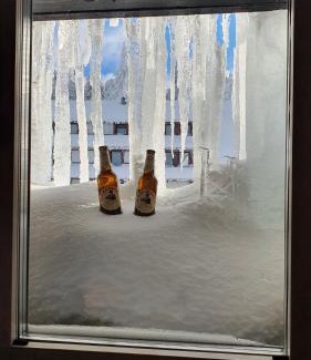 Kopaonik Apartamento | Apartman Gvozdac, Župa - Kopaonik