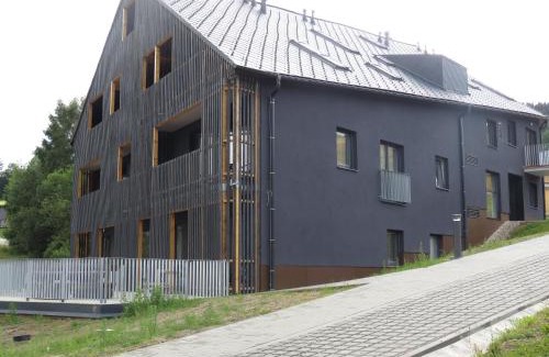 Dolni Morava Apartamento | Apartman Honey