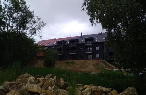 Dolni Morava Apartamento | Apartman Honey