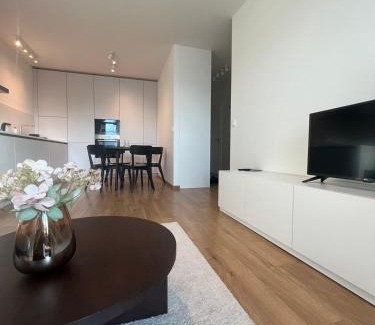 Kosice Old Town Apartamento | Apartmán IMAN with privat garage parking free, 5 minute walk to the center