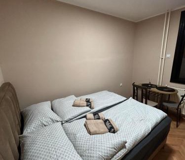 Zajecar Apartamento | Apartman Iva II