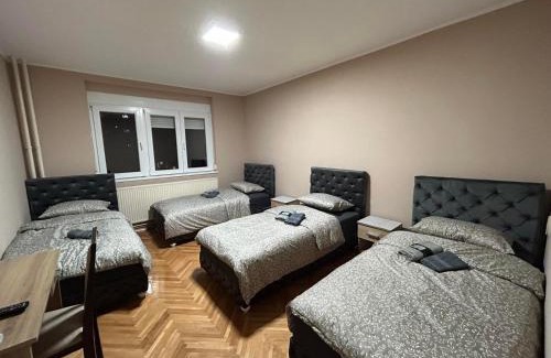 Zajecar Apartamento | Apartman Iva II