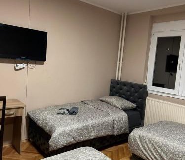 Zajecar Apartamento | Apartman Iva II