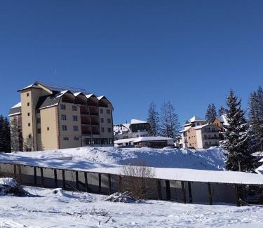 Zlatibor Apartamento | Apartman Iva