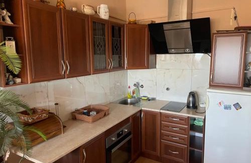 Paracin Apartamento | Apartman Janković
