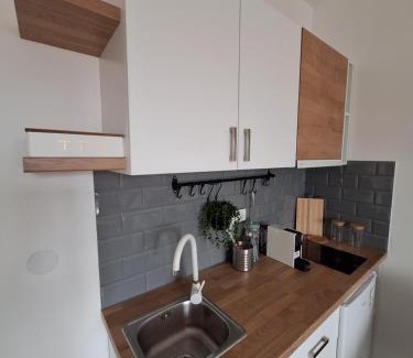 Golubac Apartamento | Apartman Jedro Golubac