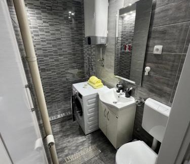 Central Serbia Apartamento | Apartman Jevtic