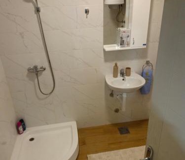 Vojvodina Apartamento | Apartman Jorgic