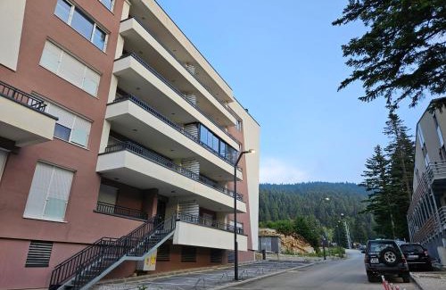 Bjelasnica Apartamento | Apartman Kadic Bjelasnica - Free Private Garage Parking