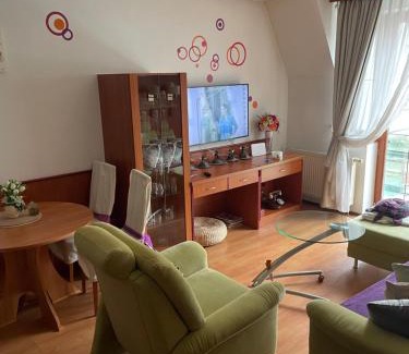 Trencianske Teplice Apartamento | Apartman Kristof Plazza 202 Trenčianske Teplice