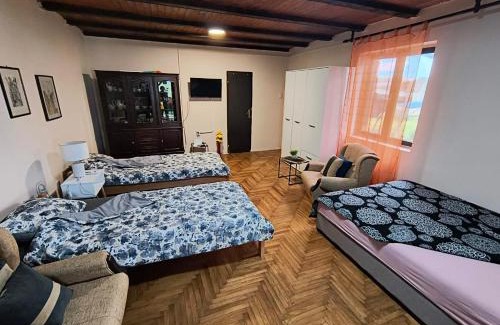 Central Serbia Apartamento | Apartman LANA i TARA