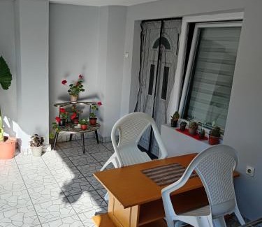 Bela Crkva Apartamento | Apartman LJILJANA BELA CRKVA