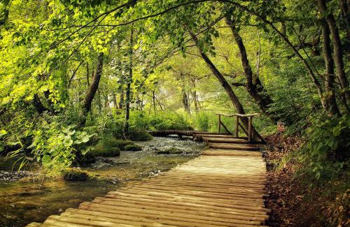 Mukinje Apartamento | Apartman Lujko Plitvice