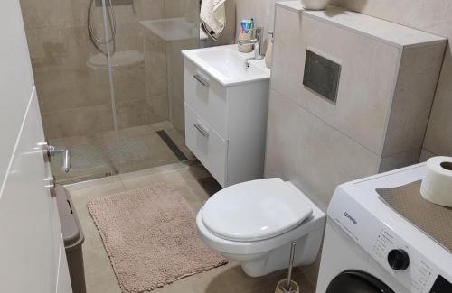 Banja Koviljaca Apartamento | Apartman Luka