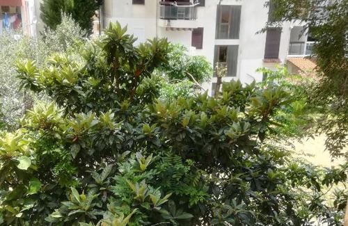 Dubovica Apartamento | Apartman
