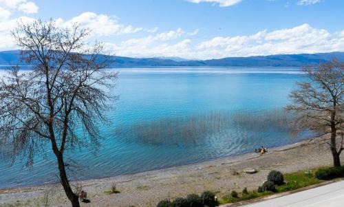 Elshani Apartamento | Apartman Mila