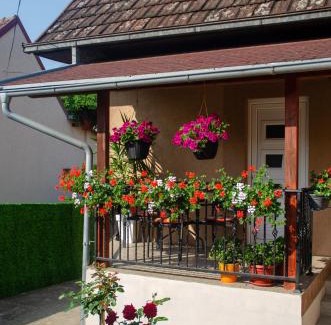 Vrdnik Apartamento | Apartman Mina 1