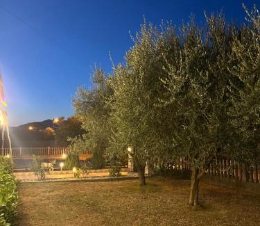 Radanovici Apartamento | Apartman MIO