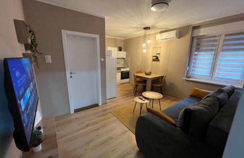 Stari Banovci Apartamento | Apartman Momirov Titel