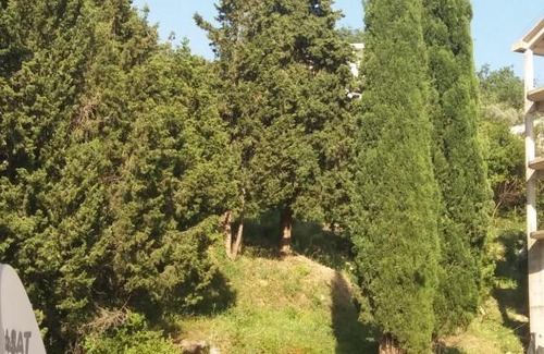 Tomicici Apartamento | Apartman Mona