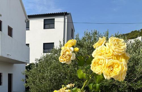 Preko Apartamento | Apartman Mrgic