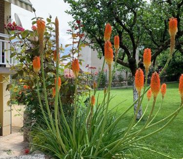 Mejasi Apartamento | Apartman Nada