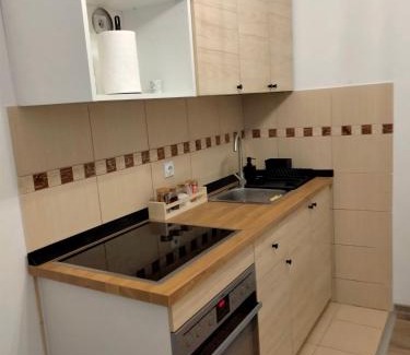 Jagodina Apartamento | Apartman Nada
