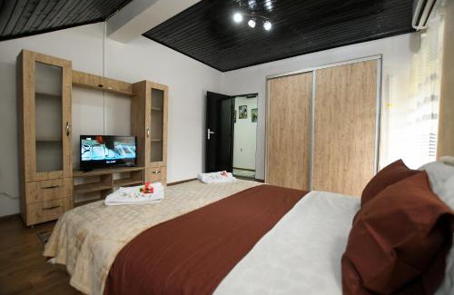 Central Serbia Apartamento | Apartman Pejović