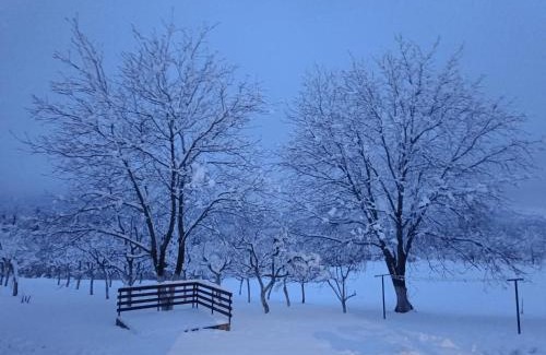 Dreznik Grad Apartamento | Apartman PLUM PLITVICE