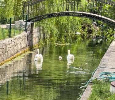 Trebinje Apartamento | Apartman RiS