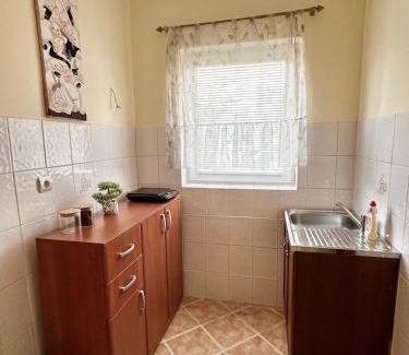Arilje Apartamento | Apartman Rosić