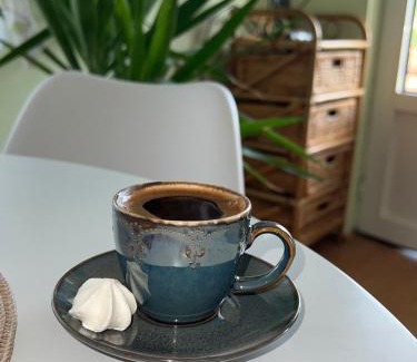 Arilje Apartamento | Apartman Rosić