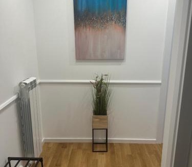 Palilula Apartamento | Apartman S