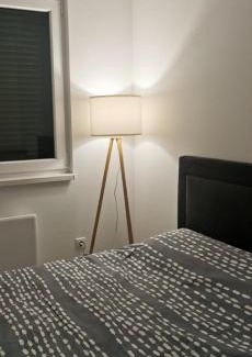 Banja Koviljaca Apartamento | Apartman Simon